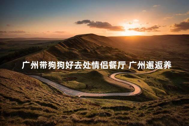 广州带狗狗好去处情侣餐厅 广州邂逅养犬恋人的绝妙约会地点